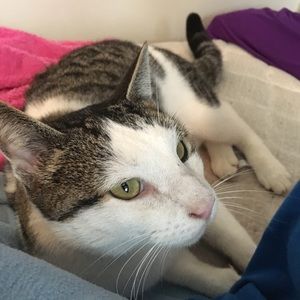 Meet your Posher, Becky